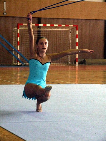 22. ledna 2008 15:24:28